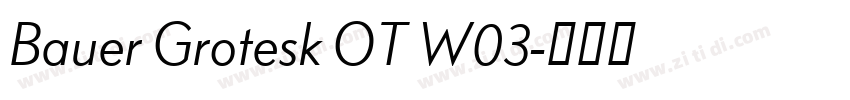 Bauer Grotesk OT W03字体转换